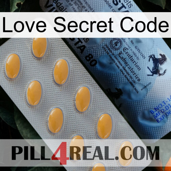 Love Secret Code 44.jpg